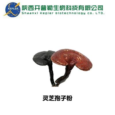 种植灵芝打公司 灵芝
