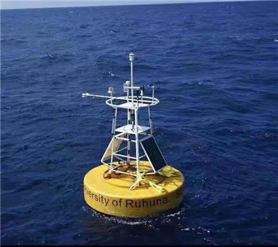 便携移动在线水质监测站浮标浮体