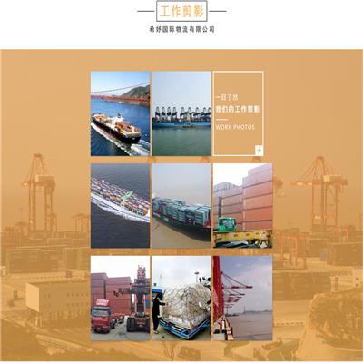 广州到荷兰集装箱海运服务 海运服务 出口海运公司