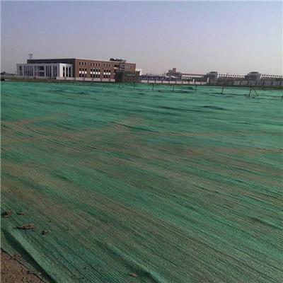 绿色盖土网 环保工程加密绿网建筑工地裸土覆盖网