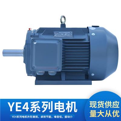 山东力久供应包装机械电机YE4**高效节能电机可定制