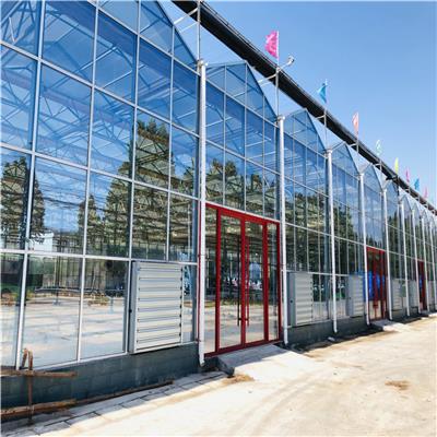 玻璃温室大棚 双层中空玻璃覆盖 智能控温