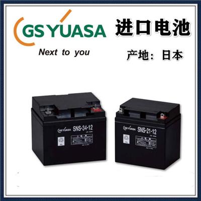 日本GS YUASA蓄电池SNS-34-12 12V34AH电瓶精密仪器 /UPS内置 /消防用