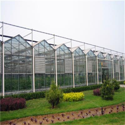 智能玻璃温室大棚 花卉种植蔬菜养殖适用 光照充足