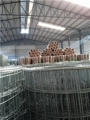 安平县丝网厂批发电焊网 外墙保温网