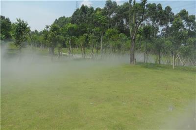 湖南人工造雾系统 人造雾设备 低碳环保