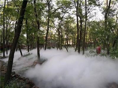 内江景观造雾设备 使空气清新 用途广泛