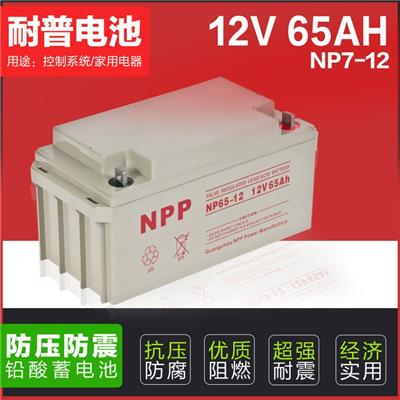 耐普蓄电池 NPG12-65 12V65AH太阳能铅酸直流屏UPS电源计算机**