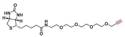 Biotin-PEG4-Alkyne，1458576-00-5，PEG臂增加了与生物素化合分子水溶性