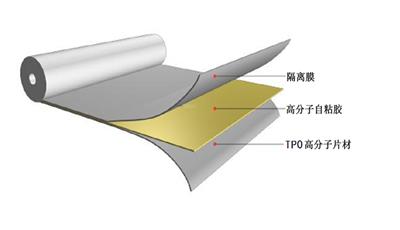 3米宽热塑性聚烯烃TPO-TBL自粘胶膜防水卷材