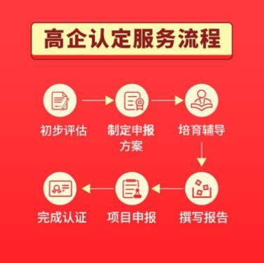 上海市国家**企业认定申请 定制化服务