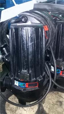 蓝深潜水排污泵WQ60-13-4