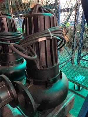 蓝深潜水排污泵WQ80-13-5.5