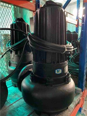 蓝深潜水排污泵AS75-4CB