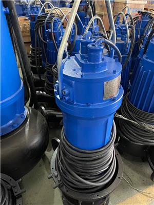 蓝深潜水轴流泵350Z-70