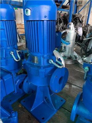 蓝深立式排污泵100WL100-13-7.5