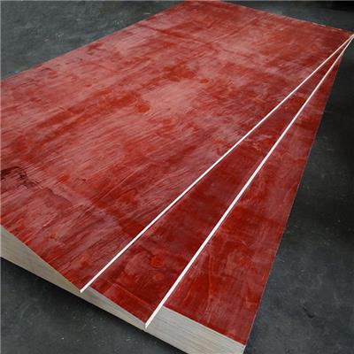 黄山红膜木板生产厂家 名和沪中木业