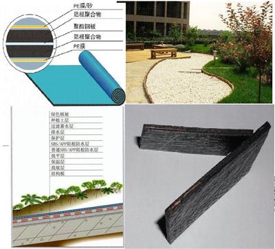 SBS弹性体改性沥青种植屋面用耐根穿刺防水卷材