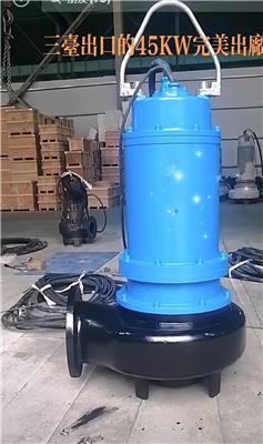 蓝深潜水排污泵WQ500-22-45