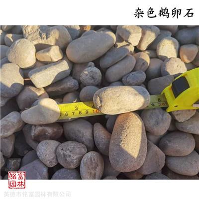 鹅卵石的不同用法 5-15公分小石子 复古感铺路石材