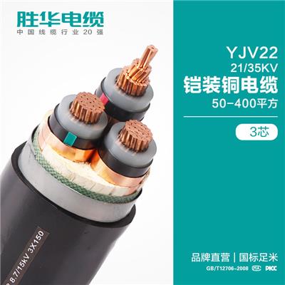 电缆线厂家 YJV22-21/35KV/铠装交联电缆 高压电缆供应