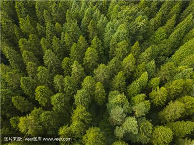 甘肃庆阳农业设计公司 林业设计公司 浅谈休闲农业景观设计要