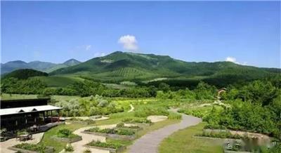 安徽安庆风景园林设计公司 工程项目合作 *分公司 图纸签章