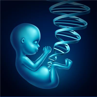清远无创胎儿鉴定机构 无创DNA鉴定 *风险无伤害