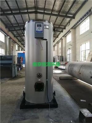 南京恒清环保设备生产厂家定制各种-沼气蒸汽热水锅炉