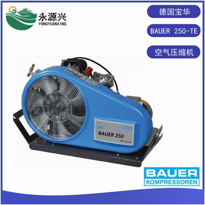 销售BAUER250-TE呼吸充填泵空气压缩机 便携式充气机