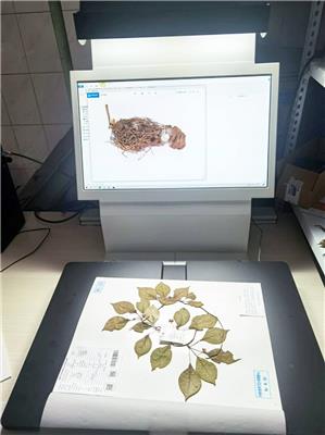 iscan非接触式古籍植物标本扫描仪中医药文献数字化