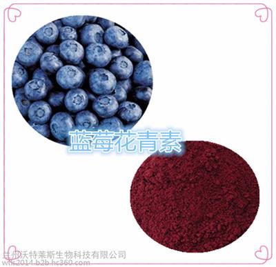 蓝莓花青素，花青素，蓝莓速溶粉，蓝莓提取液，蓝莓浸膏，1公斤起订，包邮