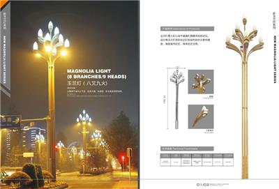 LED*灯 户外道路照明6米8米12米广场景观灯