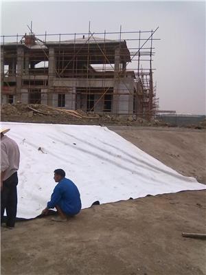 内江膨润土防水毯公司 均可定制 人工钠化膨润土防水毯