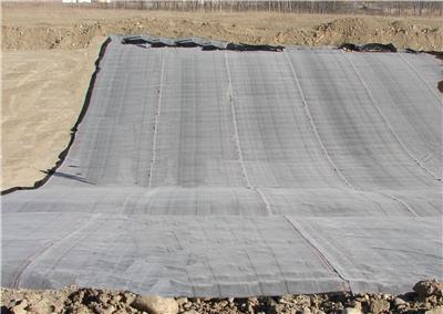 人工钠化膨润土防水毯 莱芜膨润土防水毯报价 均可定制