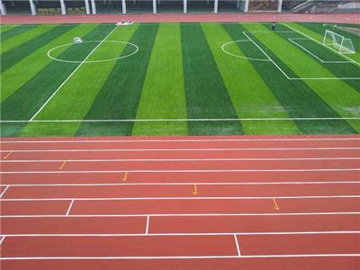 运动仿真人工草坪 足球场人工草坪安装足球场围网灯光安装