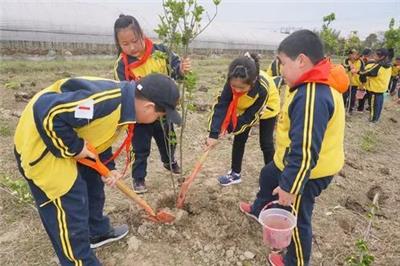惠州3月森林植树绿化活动