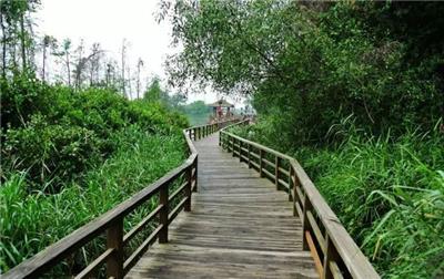 江苏南通风景园林设计公司 成立分公司 图纸盖章 单项目合作