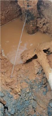 肇庆地下管道/埋地水管漏水检测、无损地下精准定漏点