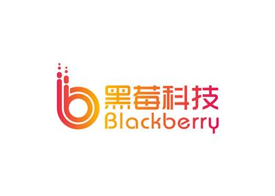 云南黑莓科技有限公司