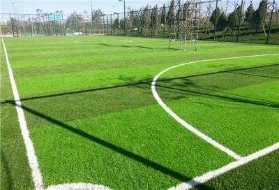足球场采用免充砂草坪有什么优势