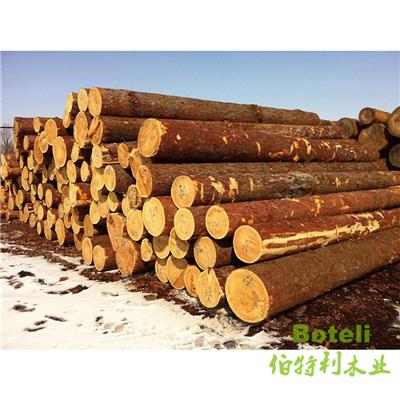 锦州红松板材,锦州红松原木定制加工