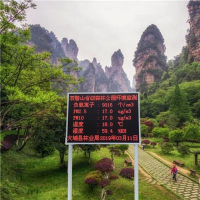 扬州公园负氧离子监测系统