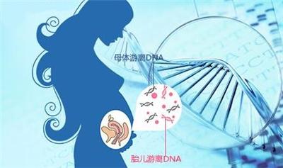 广西未出生的婴儿验孕期产前亲子鉴定 医院护士专 业采样