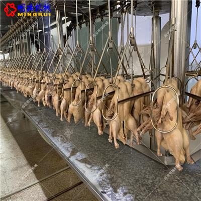 南京明瑞盐水鸭生产流水线