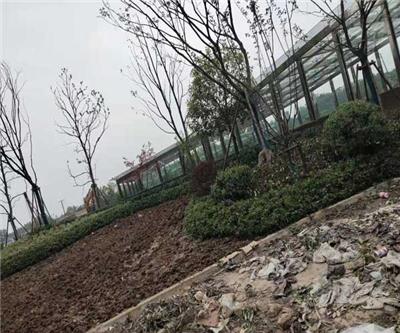 安庆景观工程 绿派园林工程