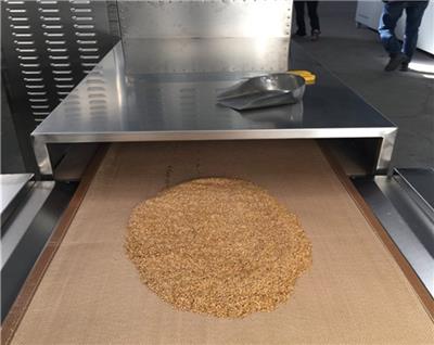 沃斯特 微波莲子干燥杀菌设备 坚果榛子烘焙熟化机器