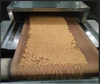 沃斯特隧道式五谷杂粮干燥设备 小麦胚芽杀菌机连续式