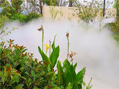 喷雾降温降尘 喷雾消毒除臭 雾森造景的价值是什么