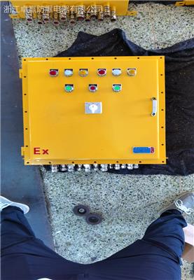 温州Q235钢板焊接防爆检修箱 防爆检修配电箱